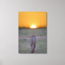 Impressão Em Tela Quênia, Masai Mara 2