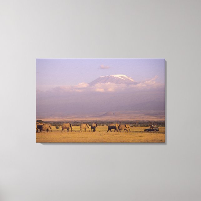 Impressão Em Tela Quênia: Parque Nacional de Amboseli, Elefantes (Frente)