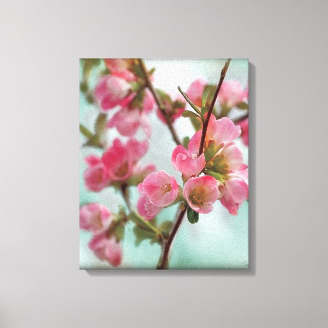 Impressão Em Tela Quince Blossoms (Frente)
