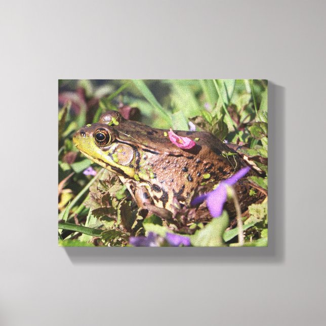 Impressão Em Tela Rã (Frente)