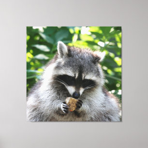 Impressão Em Tela Raccoon 004