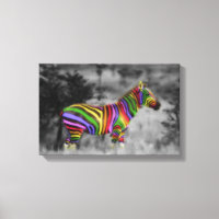 Rainbow Zebra