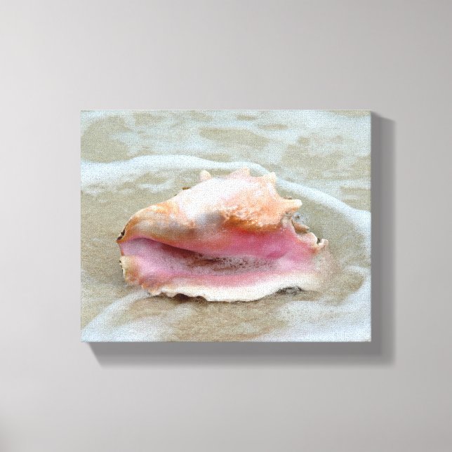 Impressão Em Tela Rainha Conch na Praia (Frente)