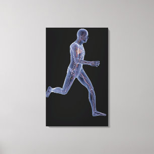 Impressão Em Tela Raio X do sistema vascular em um homem running