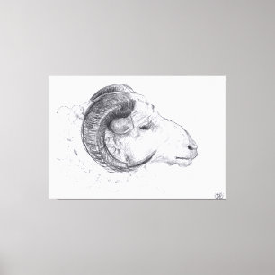 Impressão Em Tela Ram - Desenho Original - Impressão de Tela