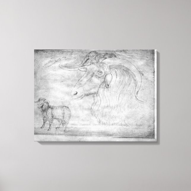 Impressão Em Tela Ram e cabeça de um carneiro (Frente)