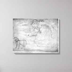 Impressão Em Tela Ram e cabeça de uma ram