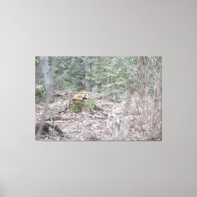 Impressão Em Tela Raposa que salta (Frente)