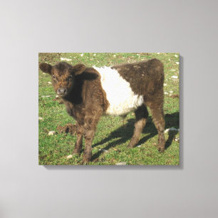 Impressão Em Tela Rare Dun Beled Calf Galloway