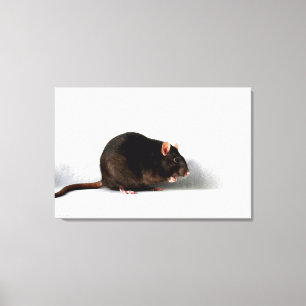 Impressão Em Tela Rat 36x24 (90x60cm) waccn