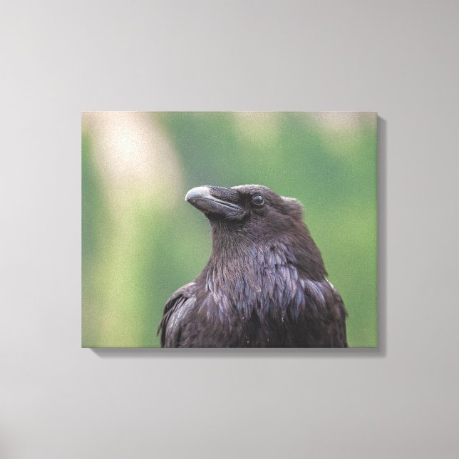 Impressão Em Tela Raven (Frente)