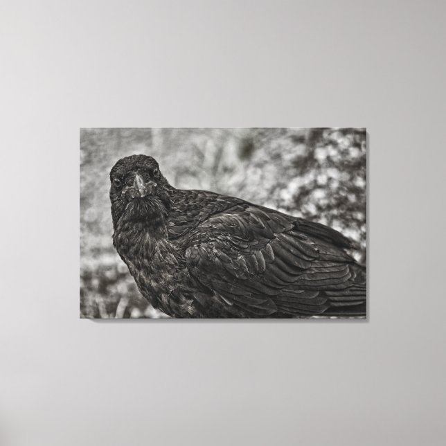 Impressão Em Tela Raven P9239 (Frente)