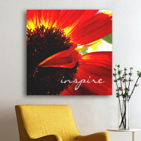 Red Gerbera Daisy Bold Foto Moderna Inspire Script