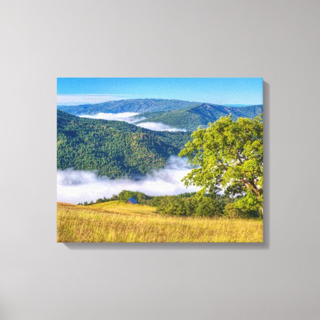 Impressão Em Tela Redwood National Park, Califórnia (Frente)