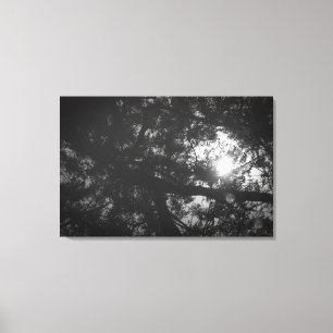 Impressão Em Tela Reflexão da árvore de Neem