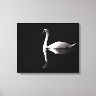 Impressão Em Tela Reflexão Do Cisne Branco Elegante No Lago Negro