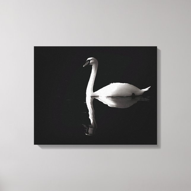 Impressão Em Tela Reflexão Do Cisne Branco Elegante No Lago Negro (Frente)