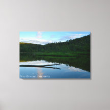 Reflexo da Floresta do Lago Céu Azul na Indonésia