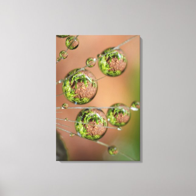 Impressão Em Tela Reflexo da Gota de Água (Frente)