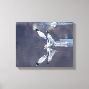 Impressão Em Tela Reflexões 14x11 Gull