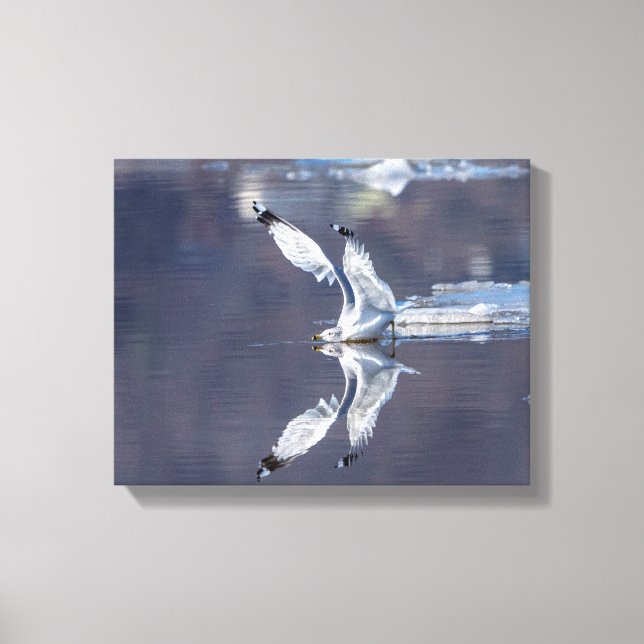 Impressão Em Tela Reflexões 14x11 Gull (Frente)