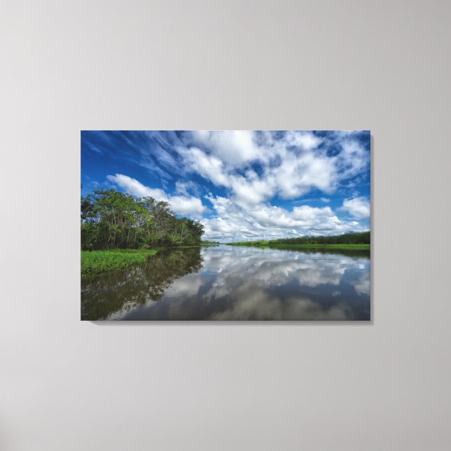 Impressão Em Tela Reflexões sobre a selva peruana (Frente)