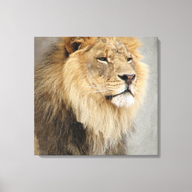 Impressão Em Tela Rei Leão da Selva (Frente)