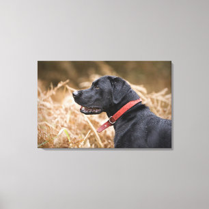 Impressão Em Tela Reino Unido, Inglaterra, Suffolk, floresta de