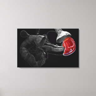 Impressão Em Tela Rendição 3d artística do baço