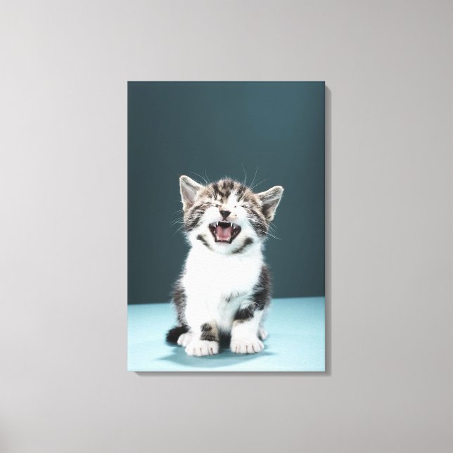 Impressão Em Tela Reprodução de Kitten (Frente)