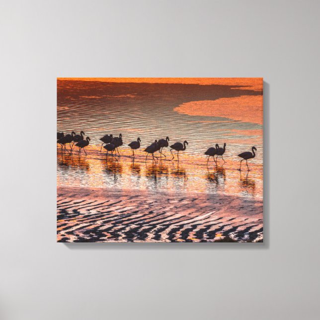 Impressão Em Tela Reserva Nacional da Fauna Andina Eduardo Abaroa (Frente)