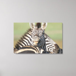 Impressão Em Tela Reserva privada do tala, Kwazulu Natal, sul