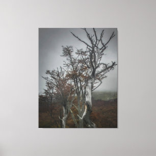 Impressão Em Tela Resiliência da Natureza: Floresta Tierra del Fuego