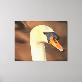 Impressão Em Tela Retrato da Cabeça de um Cisne Mudo