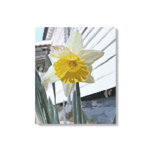 Retrato Daffodil