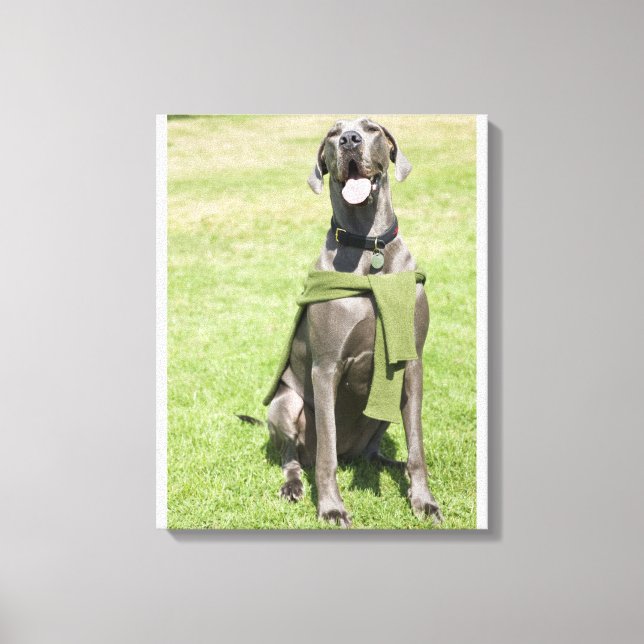 Impressão Em Tela Retrato de Blue Great Dane (Frente)