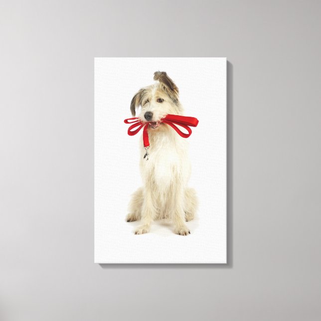 Impressão Em Tela Retrato de Cachorro com Lash (Frente)