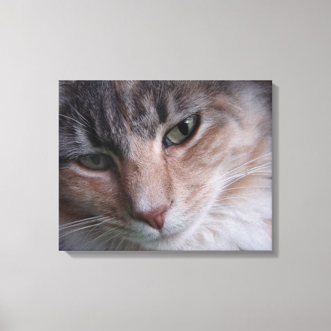 Impressão Em Tela Retrato de Cat (Frente)