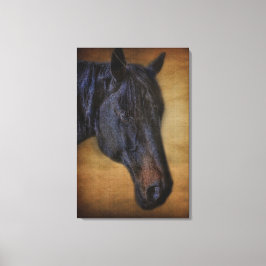 Impressão Em Tela Retrato de Cavalo Negro no efeito de pergaminho ru