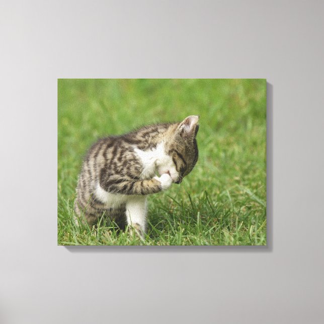 Impressão Em Tela Retrato de Gato (Frente)