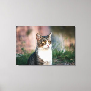 Impressão Em Tela Retrato de gato