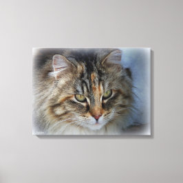 Impressão Em Tela Retrato de Gato Feral em Tela