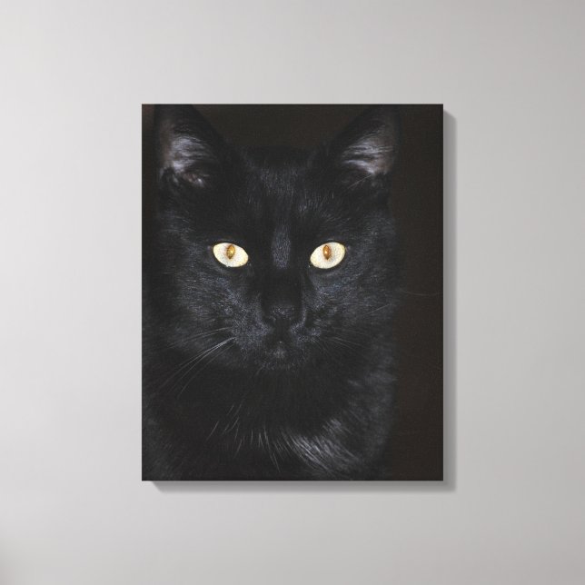 Impressão Em Tela Retrato de Gato Negro (Frente)