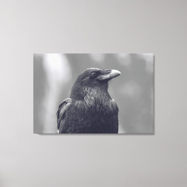 Impressão Em Tela Retrato de Raven Preto e Branco (Frente)