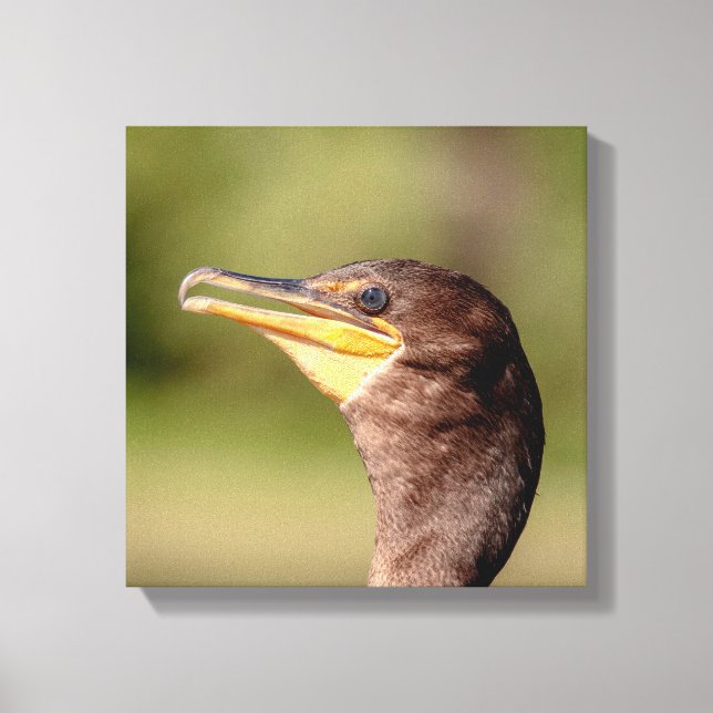 Impressão Em Tela Retrato de um Corvo (Frente)