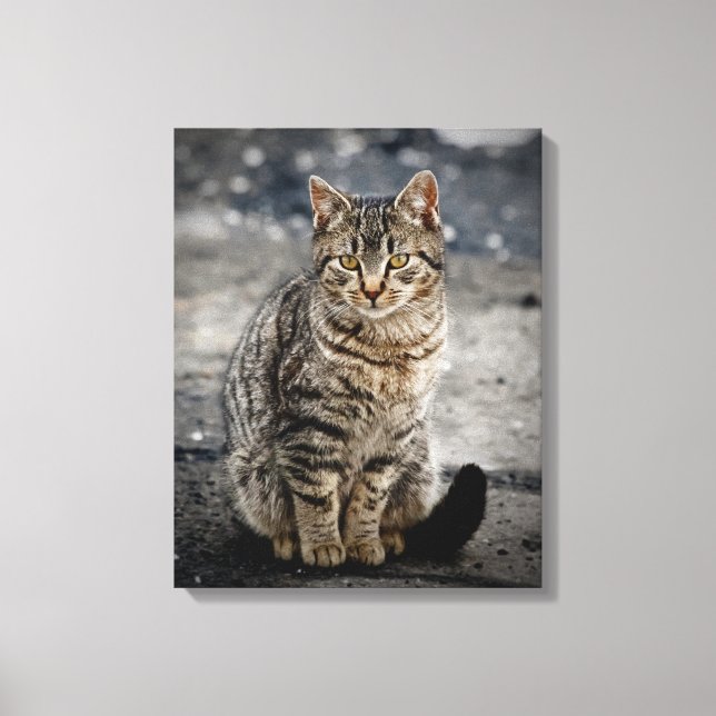 Impressão Em Tela Retrato de um gato (Frente)