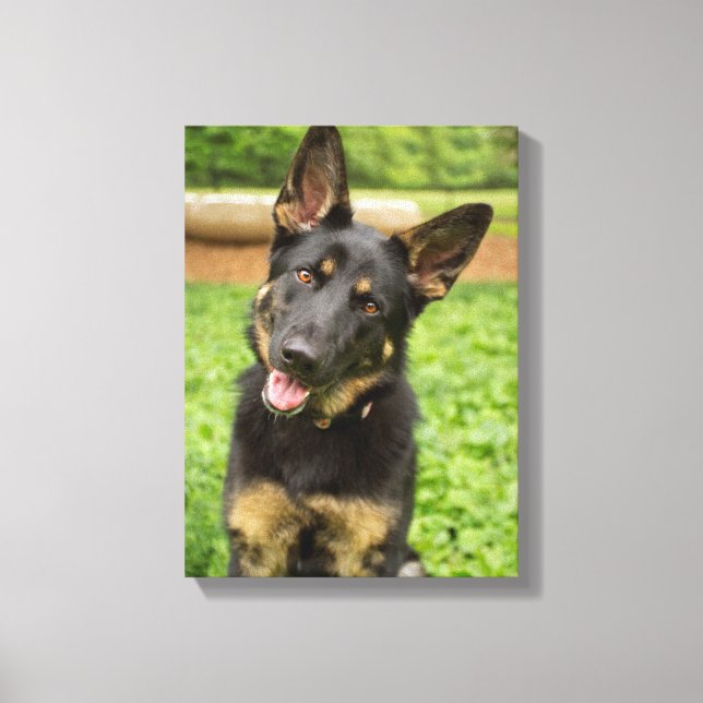 Impressão Em Tela Retrato de um German shepherd (Frente)