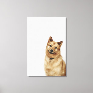 Impressão Em Tela Retrato de um sorriso finlandês do cão do Spitz
