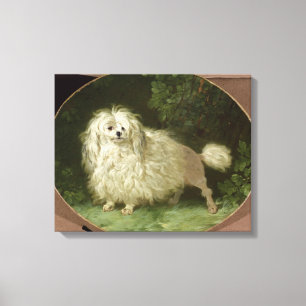 Impressão Em Tela Retrato de uma caniche