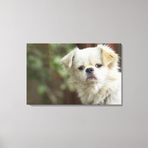 Impressão Em Tela Retrato do cão 5